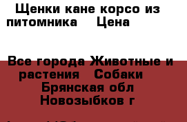 Щенки кане корсо из  питомника! › Цена ­ 65 000 - Все города Животные и растения » Собаки   . Брянская обл.,Новозыбков г.